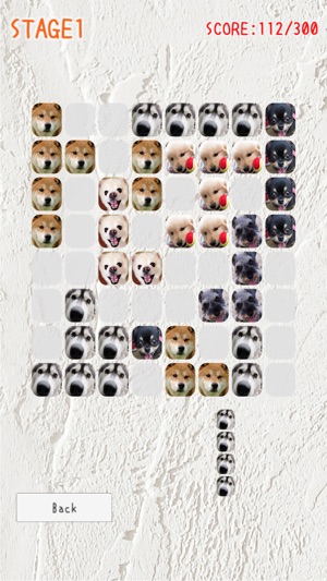 Arrange Dogs(圖1)-速報App