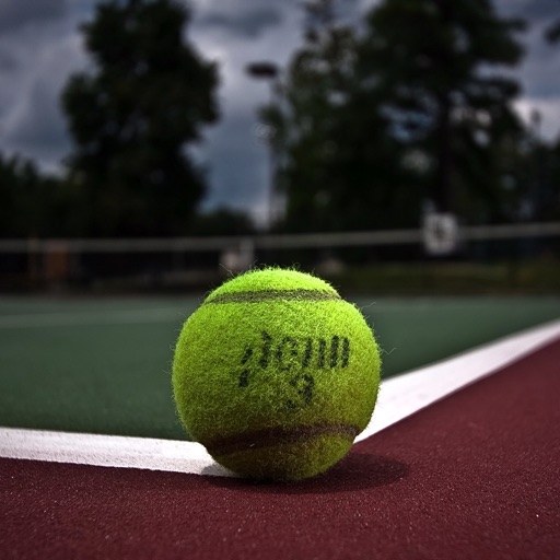 Tennis Photos & Videos | Learn all with visual galleries icon