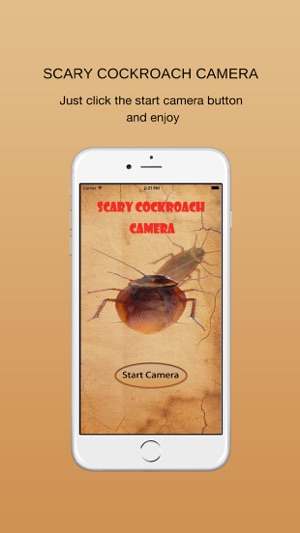 CockRoach Scare Prank - CockRoach Magic Free(圖3)-速報App