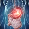 Medical Terminology : Digestive System