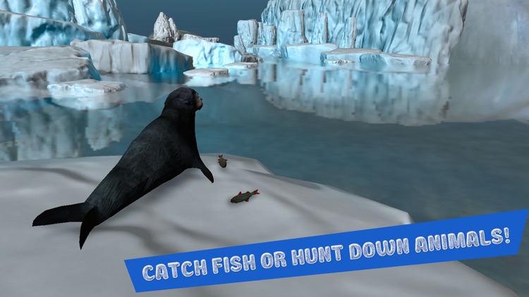 Seal Survival Simulator 3D