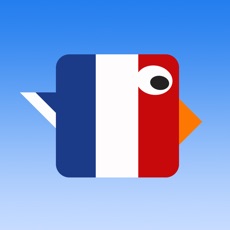 Activities of Flappy Euro Bird 2016