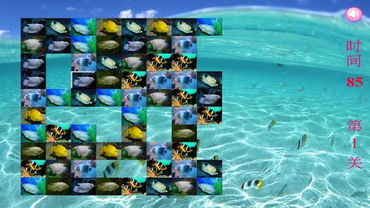 Tropical Fish Puzzle - A fun & addictive puzzle matching game screenshot-3