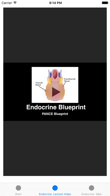 Endocrine Blueprint PANCE PANRE Review Course
