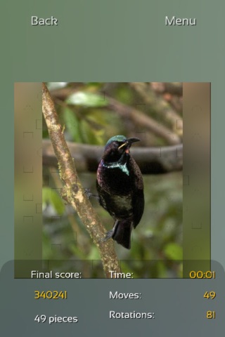 Birds of Paradise Puzzles screenshot 3