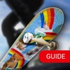 Guide for True Skate