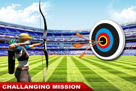 Archery Shooter Target 3D Game screenshot 2