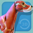 Top 28 Medical Apps Like Visual Anatomy - Canine - Best Alternatives