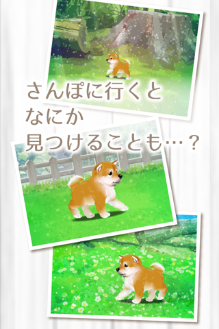My Dog Life - Japanese Shiba screenshot 4