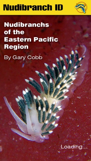 Nudibranch ID Eastern Pacific