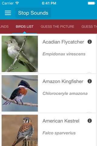 South American Birds and Sound screenshot 2