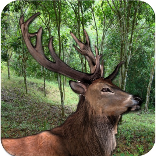 Deer Hunting Animals Jungle Icon