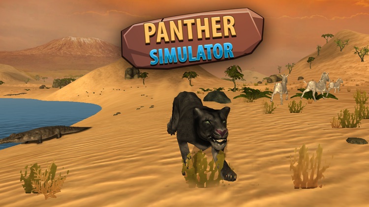 Black Wild Panther Simulator 3D Full - Be a wild cat in animal simulator! screenshot-3