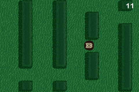 Hedge-Hog screenshot 3
