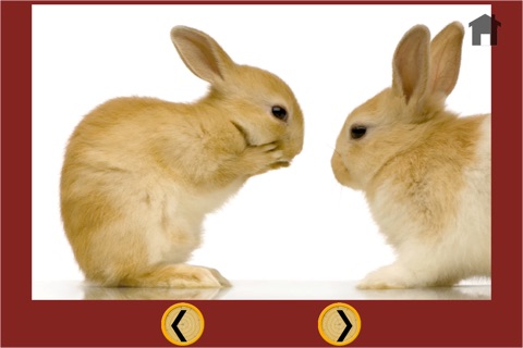 games for rabbits - no ads screenshot 4