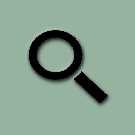 iWebSearch Pro Icon