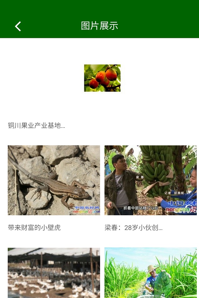 中国农业行业网-手机客户端 screenshot 3