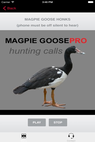 REAL Magpie Goose Calls - Hunting Calls for Magpie Geese - (ad free) BLUETOOTH COMPATIBLE screenshot 2