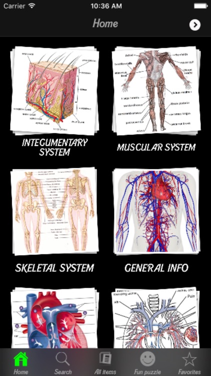 Human Body Database + screenshot-4