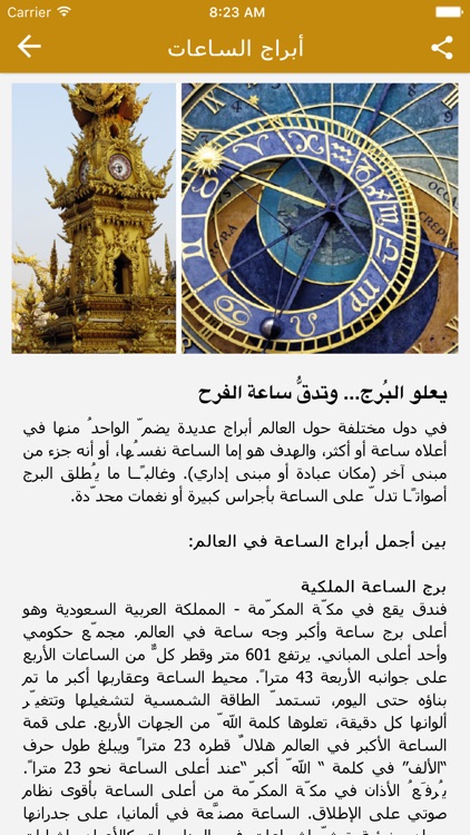 Cedar Wings Magazine screenshot-4