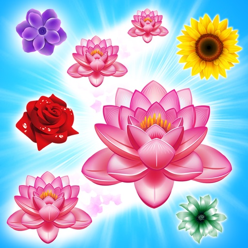 Blossom Star iOS App