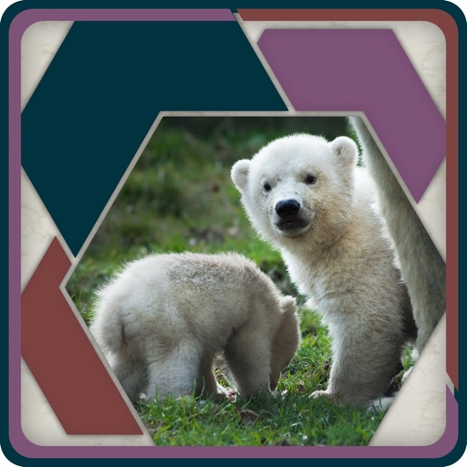 HexSaw - Animal Babies Icon