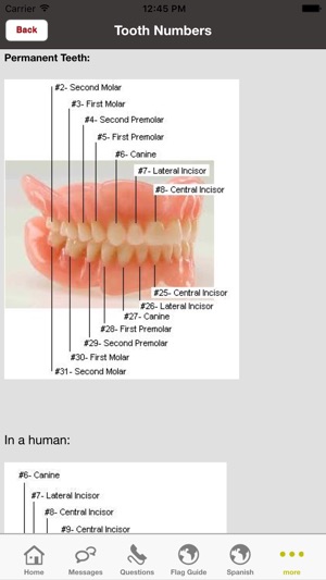 Dental Translation(圖5)-速報App