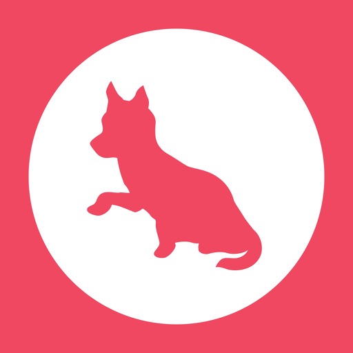 DogSync - Dog care simplified icon