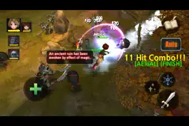 Game screenshot Black Stone : A Tale of Sword and Magic hack