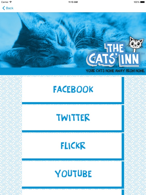 The Cats' Inn HD
