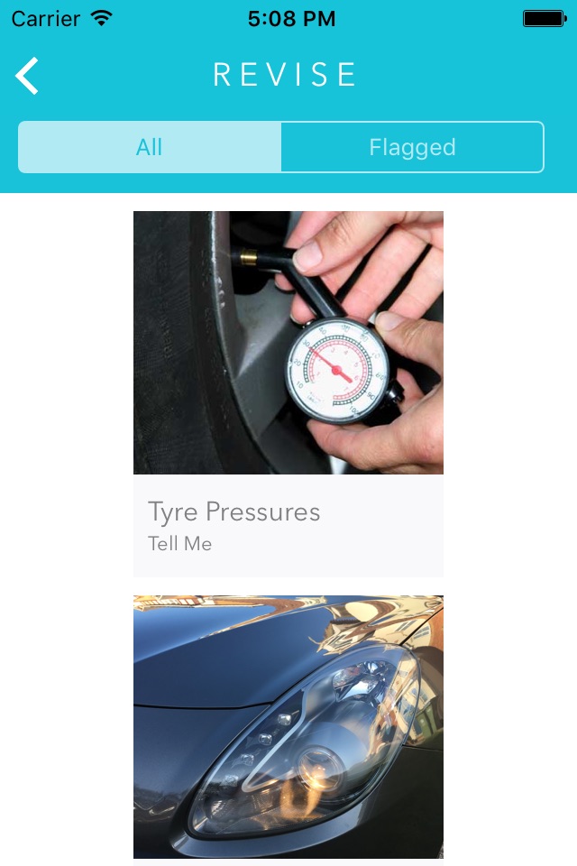 Show Me Tell Me Lite - Practical Driving Test screenshot 2