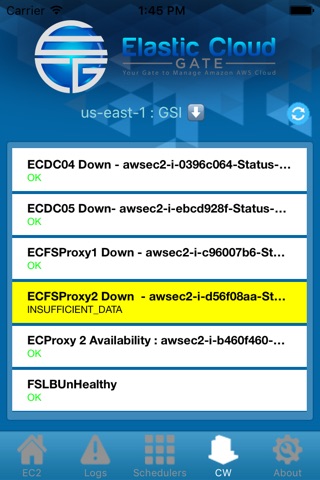 ECG - Elastic Cloud Gate Mobile screenshot 3