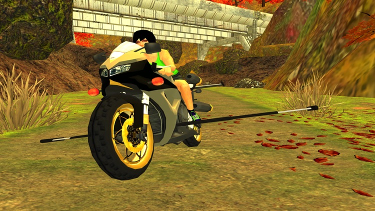 screan 3d bike game