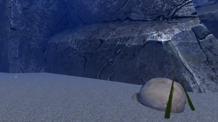 Meditation for Google Cardboard