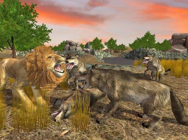 Lion Simulator Animal Survival Play As A Wild Lion In The Jungle On The App Store - wild savannah roblox lion