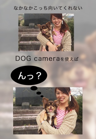 Dog camera（愛犬のカメラ目線カメラ） screenshot 2