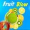 Fruit Block Match 3 Puzzle