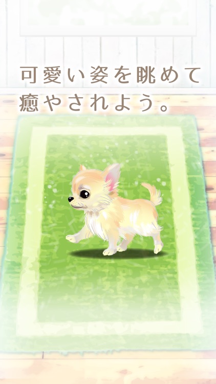 My Dog Life -Chihuahua Edition- screenshot-4