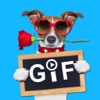 Hi5GIF - GIF Camera and Cards