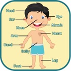 Learning Human Body Parts - Baby Learning Body Parts