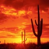 Arizona  Wallpapers HD: Quotes Backgrounds with Art Pictures