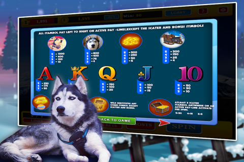 Husky Slots screenshot 4