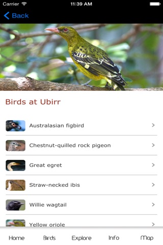 Kakadu Birds screenshot 4