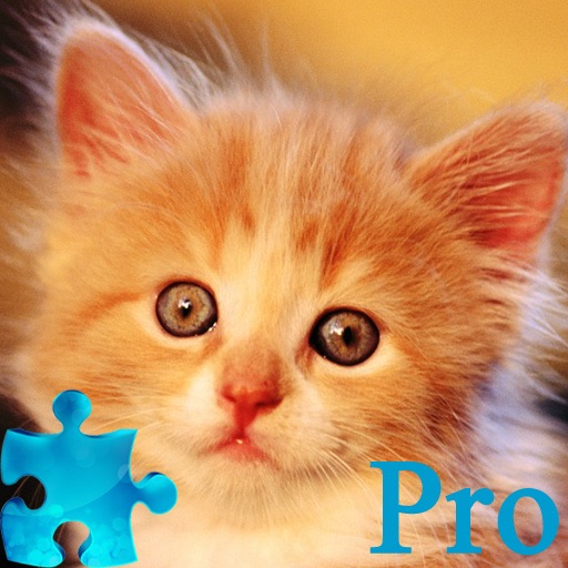 Kitty Jigsaw Puzzle Pro