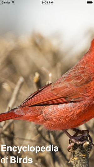 CHI Encyclopedia of Birds