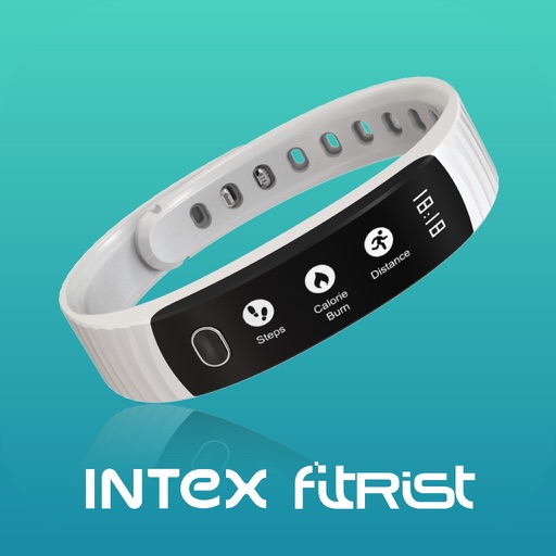 intex fitrist app usa