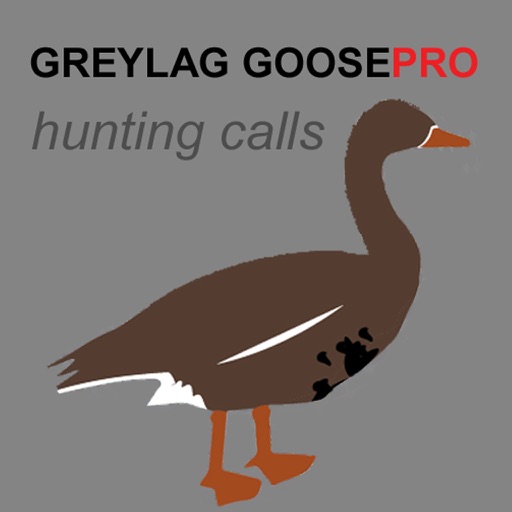 REAL Greylag Goose Hunting Calls -- Greylag Goose CALLS & Greylag Goose Sounds! (ad free) BLUETOOTH COMPATIBLE iOS App