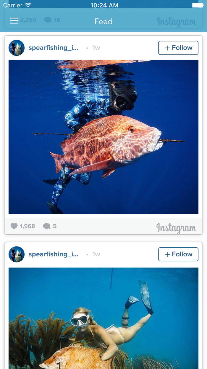 Spearfishing