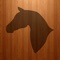 Icon Meu Cavalo App