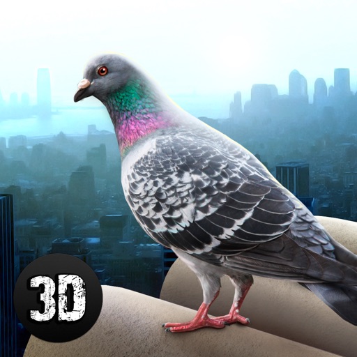 City Pigeon Simulator 3D Full